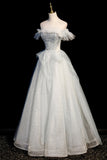Off the Shoulder Tulle Long Prom Dress, A-Line Evening Dress HZ0429